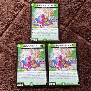 Izanai of Forest Dreams Dear Rosa