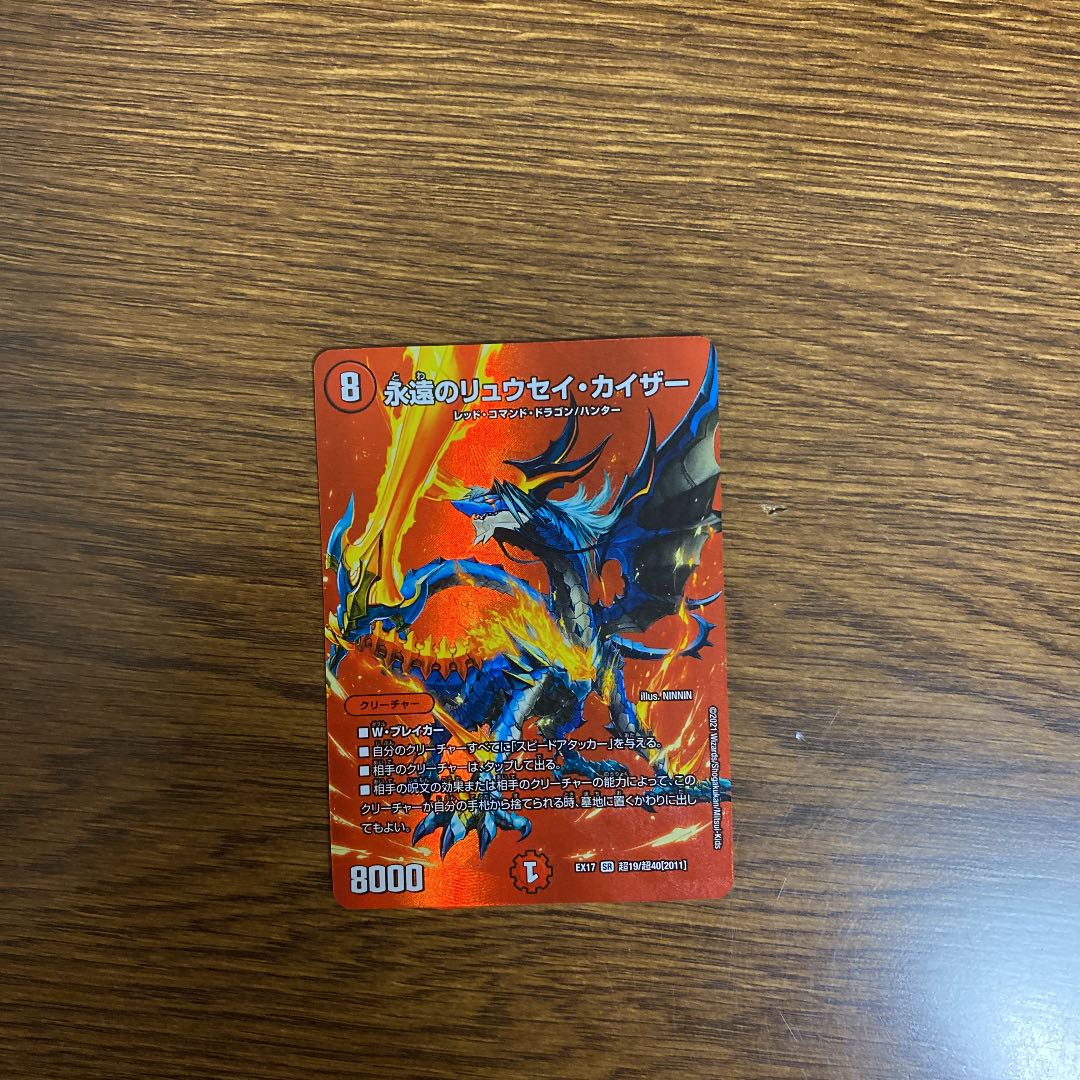 Eternal Ryusei Kaiser