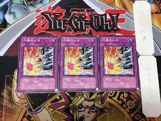 大番狂わせ 2 ノーマル 3枚セット てら 3枚