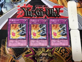 大番狂わせ 3 ノーマル 3枚セット てら 3枚