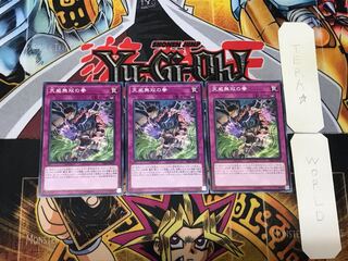 Fists of the Unrivaled Tenyi 2 Normal, set of 3 Tera