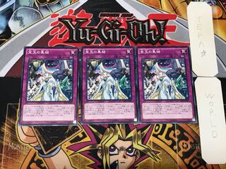 宝玉の集結 1 ノーマル 3枚セット てら