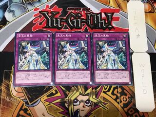 宝玉の集結 3 ノーマル 3枚セット てら