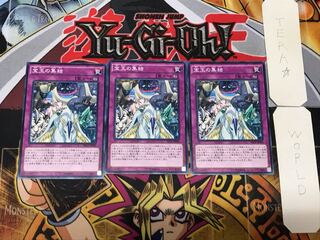 宝玉の集結 4 ノーマル 3枚セット てら