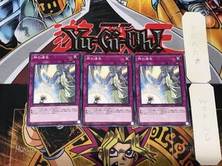 Solemn Strike 5 Normal, set of 3 Tera.