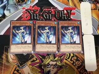 Neo-Spacian Aqua Dolphin 1 Normal, set of 3 Tera