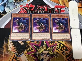 Amazoness Spy 3 Normal Set of 3 Tera