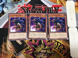 Amazoness Spy 5 Normal Set of 3 Tera.