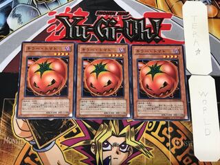 Mystic Tomato 3 Normal, set of 3 Tera