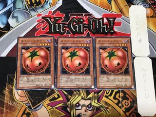Mystic Tomato 5 Normal, set of 3 Tera