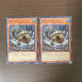 Nimble Beaver Normal Rare