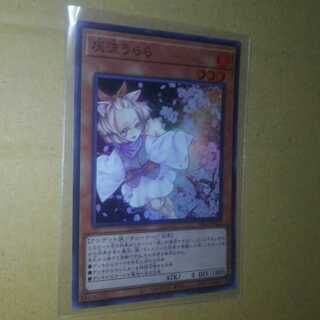 Ash Blossom & Joyous Spring Super