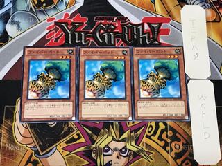 Fiber Jar 1 Normal, set of 3 Tera.