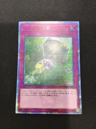 Peaceful Burial 20th Secret Rare
