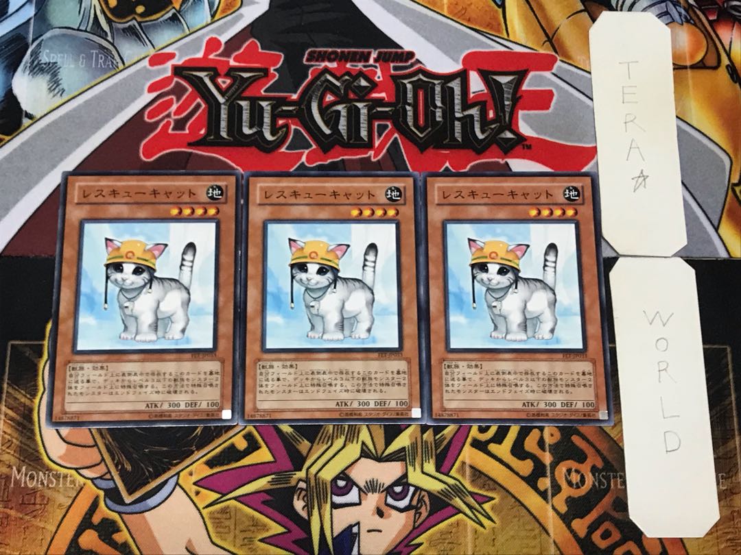 Rescue Cat 1 Normal, set of 3 Tera