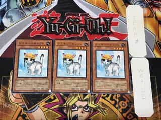 Rescue Cat 3 Normal, set of 3 Tera