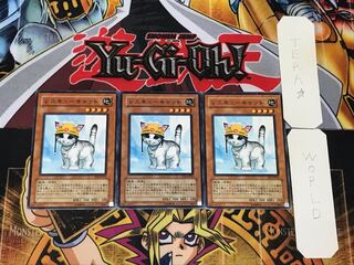 Rescue Cat 4 Normal, set of 3 Tera