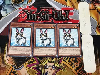 Rescue Rabbit 1 Normal, set of 3 Tera