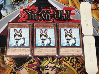 Rescue Rabbit 3 Normal, set of 3 Tera