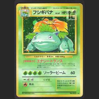 Venusaur LV.67 [Poor] old back/managed by MP1084