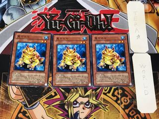 Swap Frog 2 Normal, set of 3 Tera