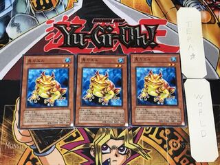 Swap Frog 3 Normal Set of 3 Tera