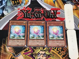 救世竜 セイヴァー・ドラゴン 1 ノーマル 3枚セット てら