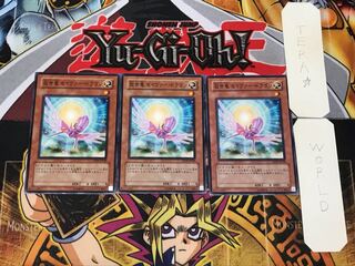 救世竜 セイヴァー・ドラゴン 2 ノーマル 3枚セット てら