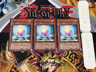 救世竜 セイヴァー・ドラゴン 3 ノーマル 3枚セット てら