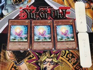 救世竜 セイヴァー・ドラゴン 5 ノーマル 3枚セット てら