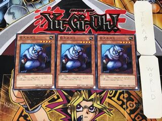 Giant Rat 2 Normal, set of 3 Tera