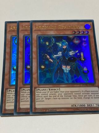 アロマージ－ローズマリー　英語版　EU版　3枚