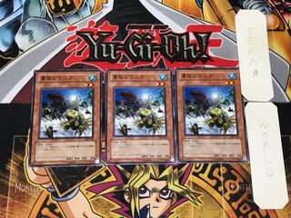 軍隊ピラニア 1 ノーマル 3枚セット てら