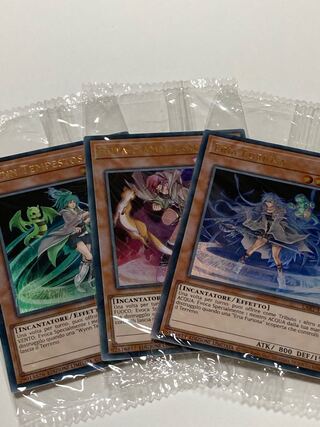 Storming Wynn Blazing Hiita Raging Eria Italian EU edition lost art unopened