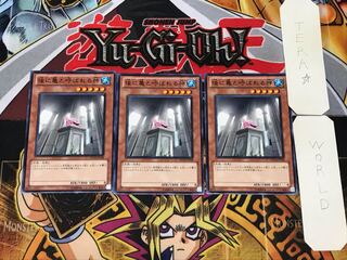 後に亀と呼ばれる神 1 ノーマル 3枚セット てら