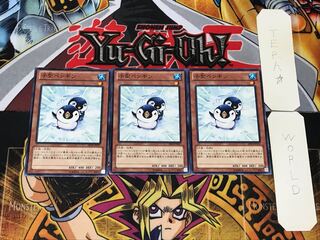 Puny Penguin 1 Normal, set of 3 Tera.