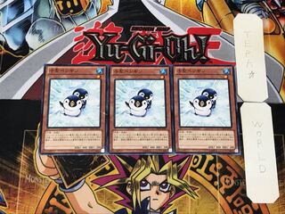 Puny Penguin 5 Normal, set of 3 Tera.