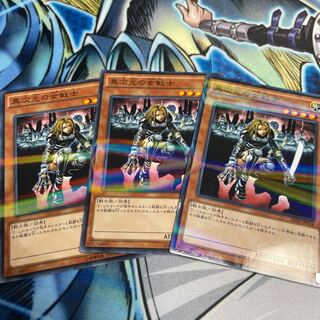 異次元の女戦士 パラレル ノーマル　3枚　ノーパラ