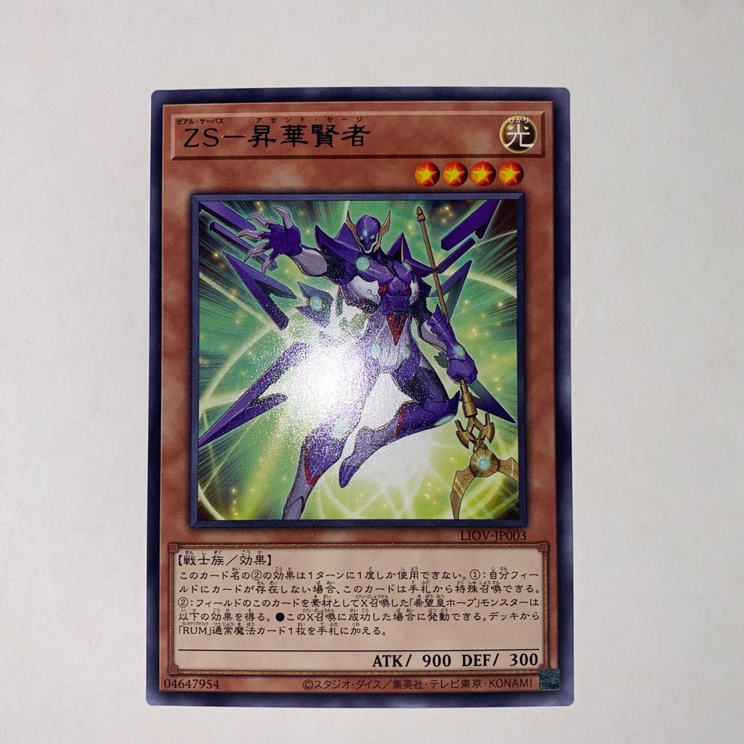 ZS-Consecrate Sage Character Rare