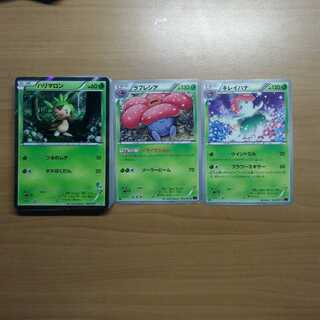 Grass Type Pokémon Summary