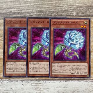 Brilliant Rose Normal