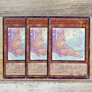 Melfi Wallaby Normal