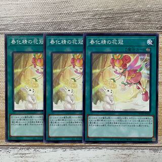 Flower crown of vernalization spirit Normal