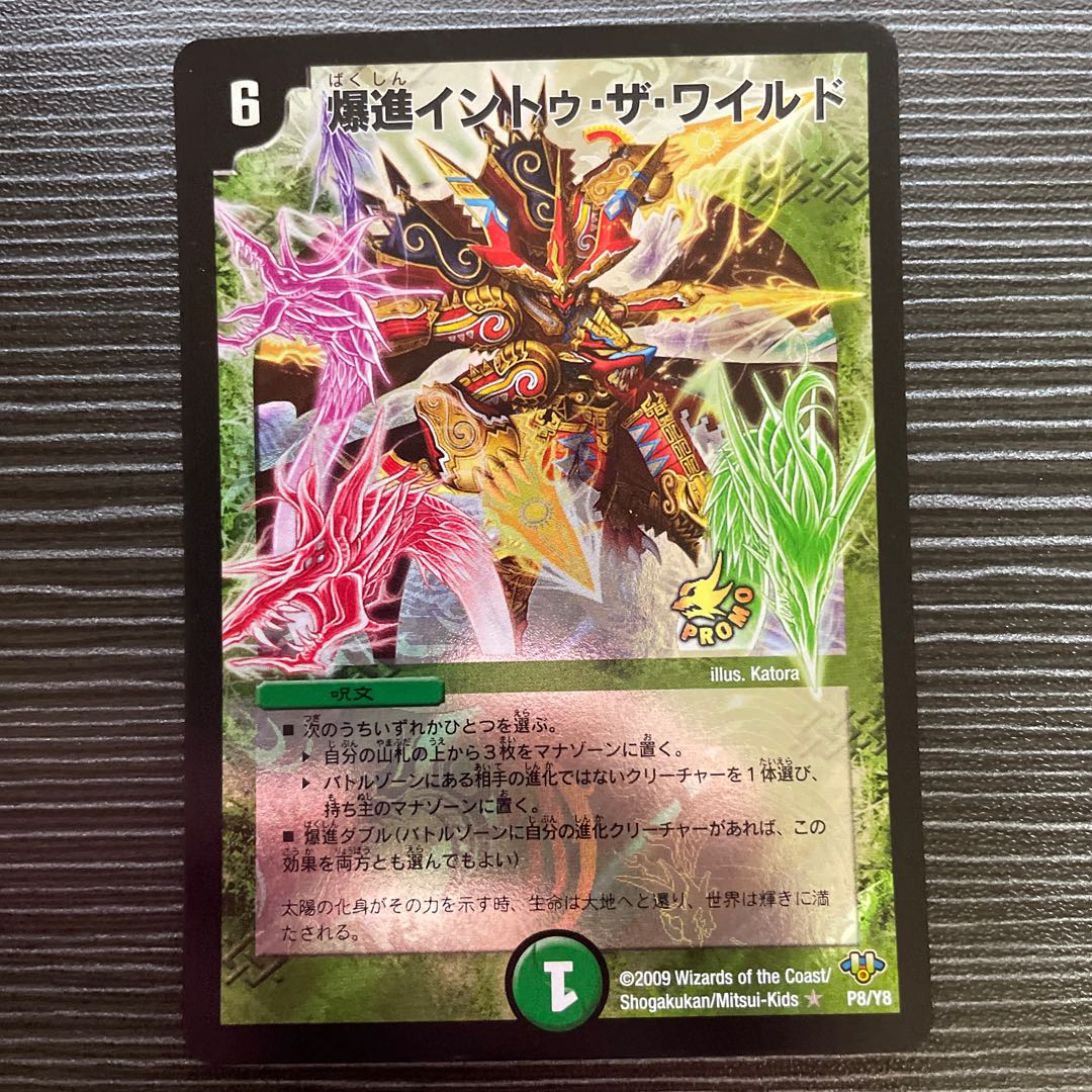 爆進イントゥ・ザ・ワイルド　プロモ