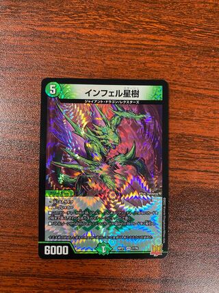 Infelix star tree (species of sedge, Infelix infertilis)