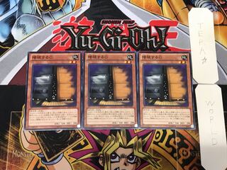 Maxx "C" 2 Normal, set of 3 Tera.