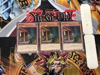 独法師 4 ノーマル 3枚セット てら