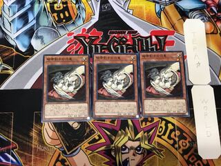 Buster Whelp of the Destruction Swordsman 1 Normal, set of 3 Tera.