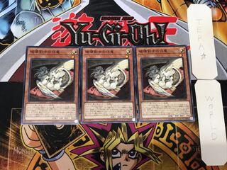 Buster Whelp of the Destruction Swordsman 2 Normal, set of 3 Tera.