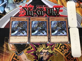 Mezuki 2 Normal, set of 3 Tera